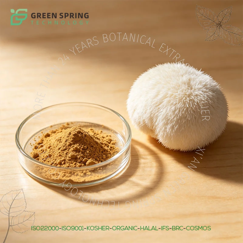Lion's Mane Mushroom Extract Powder