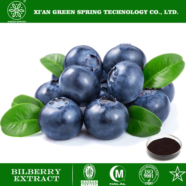 Blueberry Extract
